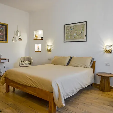 Cozy Downtown 4* 올비아