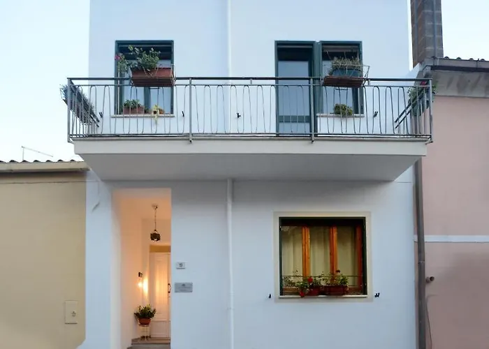 招待所 Cozy Downtown 3*